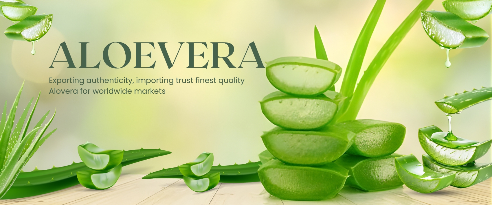 Vibrant flowers and lush greenery - Leading and best Business Solutions